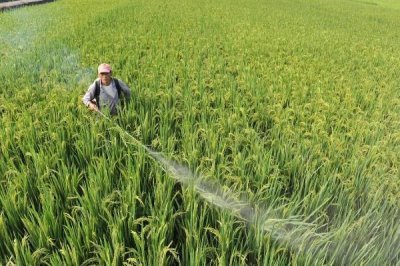 吡虫啉70兑水的使用方法,2-3g兑水45-60公斤