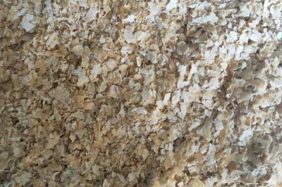 养猪没麸皮用什么代替,可以用玉米代替