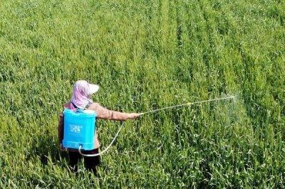 使百克咪鲜胺的使用方法,针对不同作物的使用方法不同