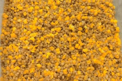 三月河里钓鱼技巧,是钓鱼的黄金时节