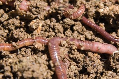 三月河里钓鱼技巧,是钓鱼的黄金时节