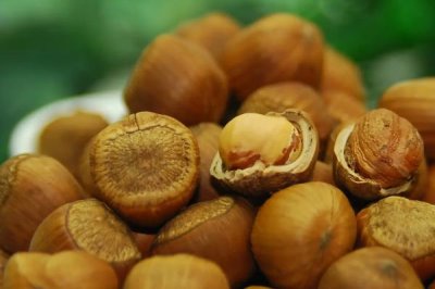 榛子相关介绍，植株为灌木或小乔木、具有较强的抗寒性