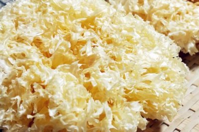 我国哪些地方产银耳,古田、通江、固原等地的银耳非常出名