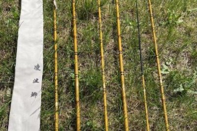 排名靠前的国产并继竿，包括仙竹、孤竹等品牌