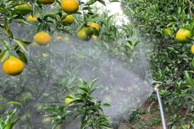 吡虫啉有什么作用,可防治飞虱、叶蝉、蚜虫等害虫