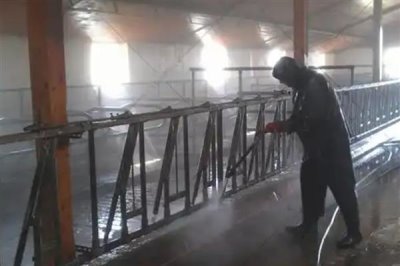 猪圈的冲洗方法,洗衣粉浸泡后再冲洗