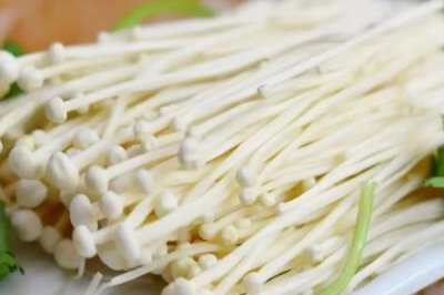 食用菌的种植前景,市场需求大前景广阔