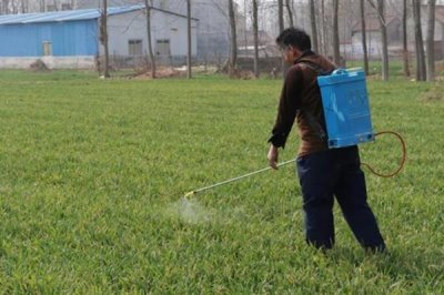 菊酯类杀虫剂可以杀哪些虫,甲氰菊酯可防治咀嚼式和刺吸式口器害虫