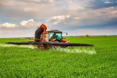 使用阿维菌素要注意什么,随配随用并且在傍晚打药