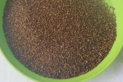 中药材使用什么除草剂,通常以苗后除草剂为主