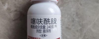噻呋酰胺不可以和哪些药物混用，嘧菌酯等药物不能与它混用
