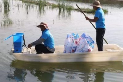 怎么养殖小龙虾,清塘消毒、培育浮游生物后再放入虾苗