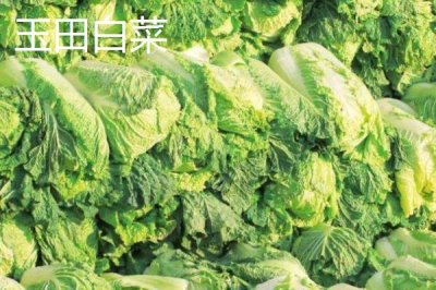 河北省安新县的特产,白洋淀熏鱼深受旅客欢迎