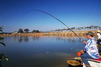 怎么钓鲮鱼,台钓法是常用的钓法