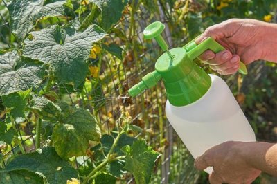 黄瓜生理病害有哪些，易造成节间长、易倒伏等