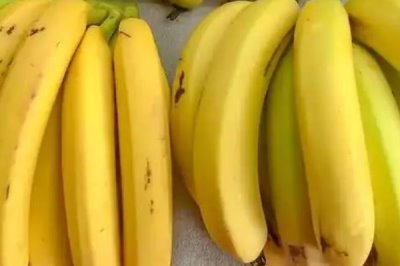 广东恩平市的特产,恩平烧饼令人百吃不厌