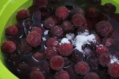 杨梅东魁好吃还是荸荠好吃,各有特点