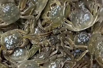 大闸蟹的产地，阳澄湖、固城湖、太湖等地方均有产出