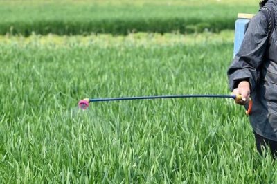茎叶处理除草剂怎么使用,主要在杂草3-5叶期兑水喷雾