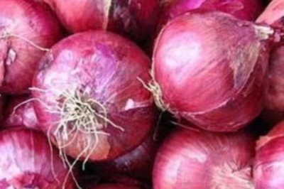 洋葱几月份上市,各地上市时间不同