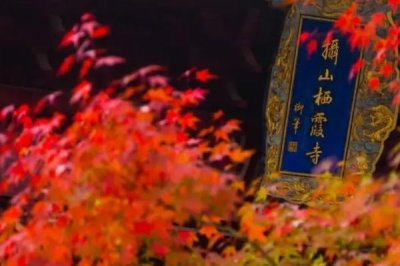 栖霞山红叶几月份观赏最佳，11月中旬至12月中旬最好看