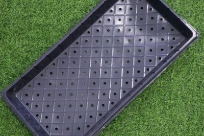 育玉米苗需哪种育苗盘，通常选择128孔穴盘