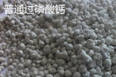 磷肥是什么，主要养分为磷元素