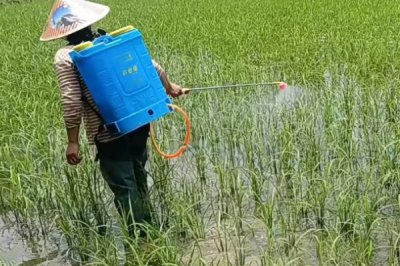 防治腻虫的方法，可喷施氧化乐果、辛硫磷等药物