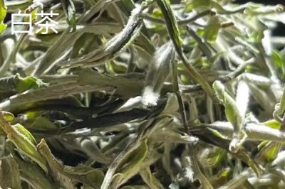 江苏名茶推荐,介绍排行榜前十名