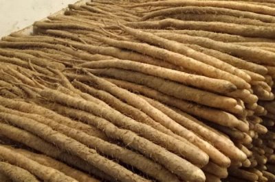 小白嘴白山药是哪里的特产，属于河北省深泽县的特色产品