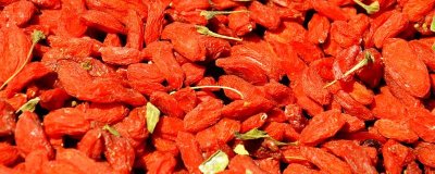 枸杞主产于哪些省份,宁夏、内蒙古、甘肃、河北等省份是主产地