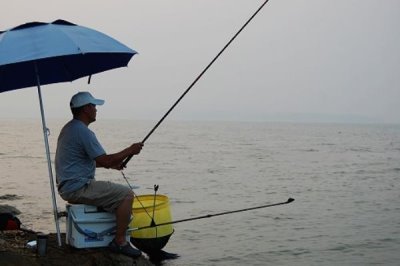 春季钓鲤鱼选什么位置,水草区、铧尖、凹湾都是最佳钓点