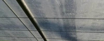 蔬菜大棚上起雾滴怎么办,可用有机硅兑水喷洒棚膜