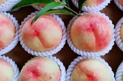 凤桥水蜜桃的上市时间,通常为每年的6-8月份