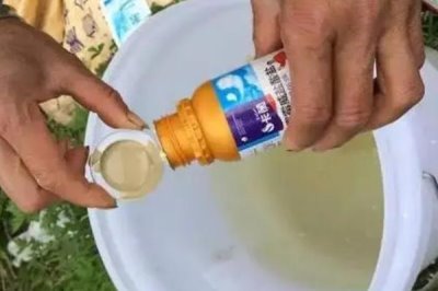 混配毒死蜱的注意事项，不可与碱性农药混合使用