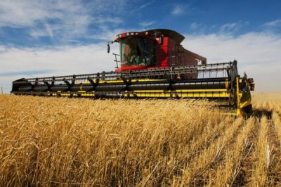 三农工作的重要性,能保持经济持续健康发展