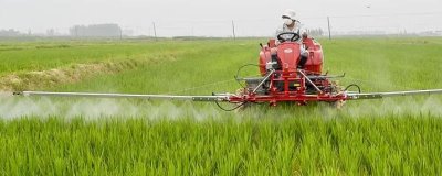 使用杀虫剂有哪些注意事项,根据气候特点和害虫活动规律选择施药时间