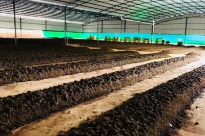 蚯蚓的养殖方法有哪些,可结合实际情况任选以下7种养殖方法