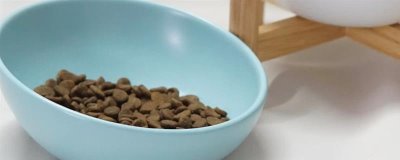 能不能使用塑料材质的猫食盘，长期使用容易导致猫咪黑下巴
