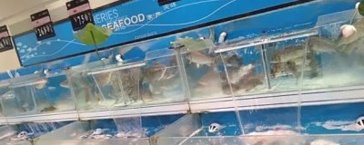 水产养殖公司注册需要办理什么手续,需要办理水产养殖许可证