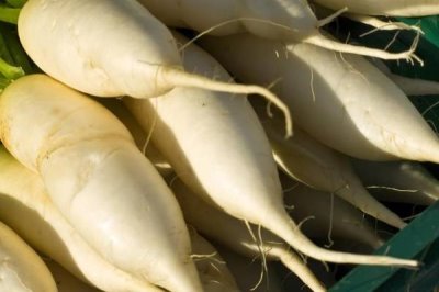 白萝卜怎么正确储存，可直接装入袋内放置阴凉处