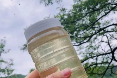 洋槐蜜30块一斤是不是正品,正宗的洋槐蜜一般不便宜