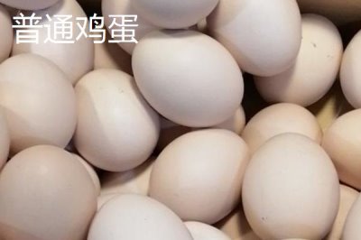 柴鸡蛋和普通鸡蛋的区别,外形和蛋黄均不同