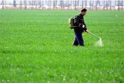 大蒜年前要打药吗，年前不需要打药