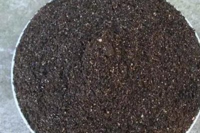 番茄育苗技术,直接影响品质及产量