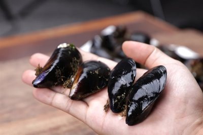 海虹的价格,内陆地区的售价高于沿海地区