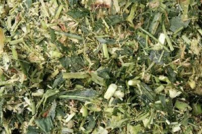 羊吃些什么东西,吃粗饲料和精饲料等