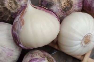 独头蒜为什么比普通大蒜贵,大蒜素含量要比普通大蒜高