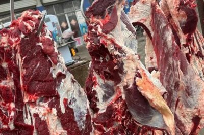 养牛的风险,包括肉牛来源、养殖技术等