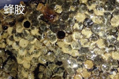 蜂巢和蜂胶的区别,来源、作用和成分均不同